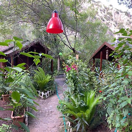 Canario Bungalows Cirali Bagian luar foto