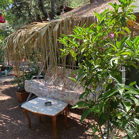 Canario Bungalows Cirali Bagian luar foto