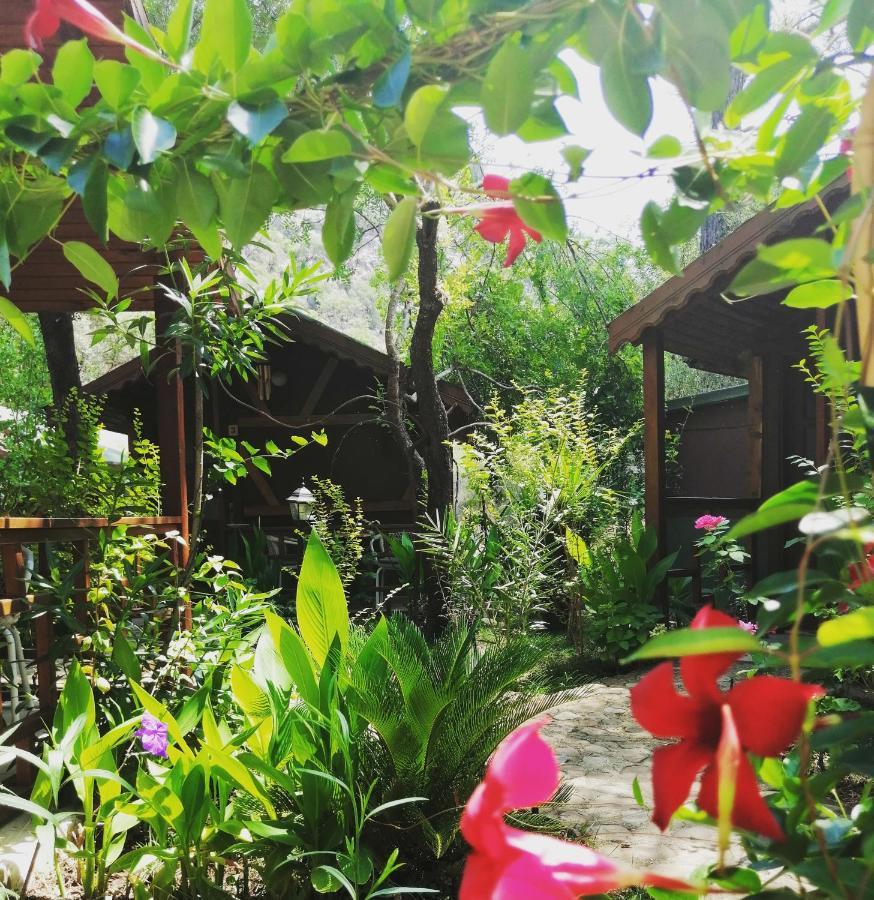 Canario Bungalows Cirali Bagian luar foto