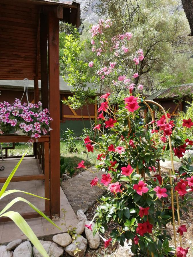 Canario Bungalows Cirali Bagian luar foto