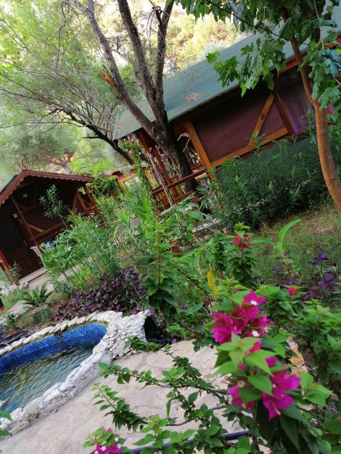 Canario Bungalows Cirali Bagian luar foto