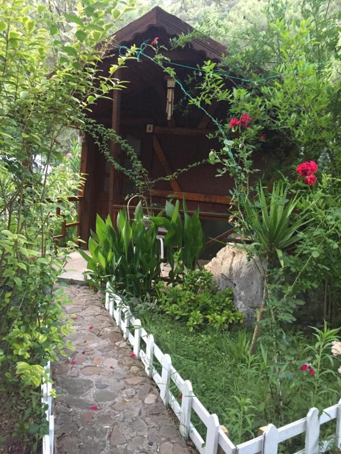Canario Bungalows Cirali Bagian luar foto