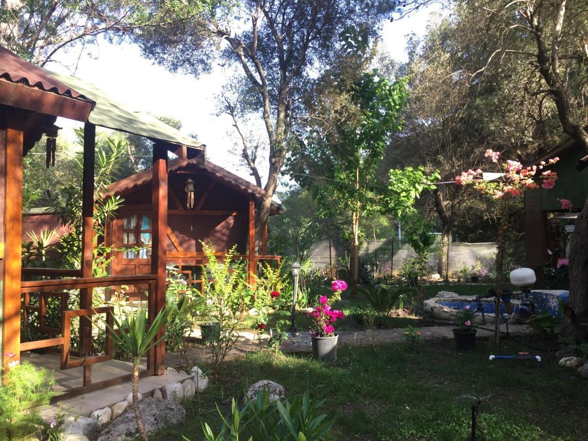 Canario Bungalows Cirali Bagian luar foto