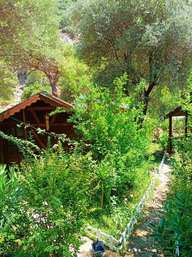 Canario Bungalows Cirali Bagian luar foto