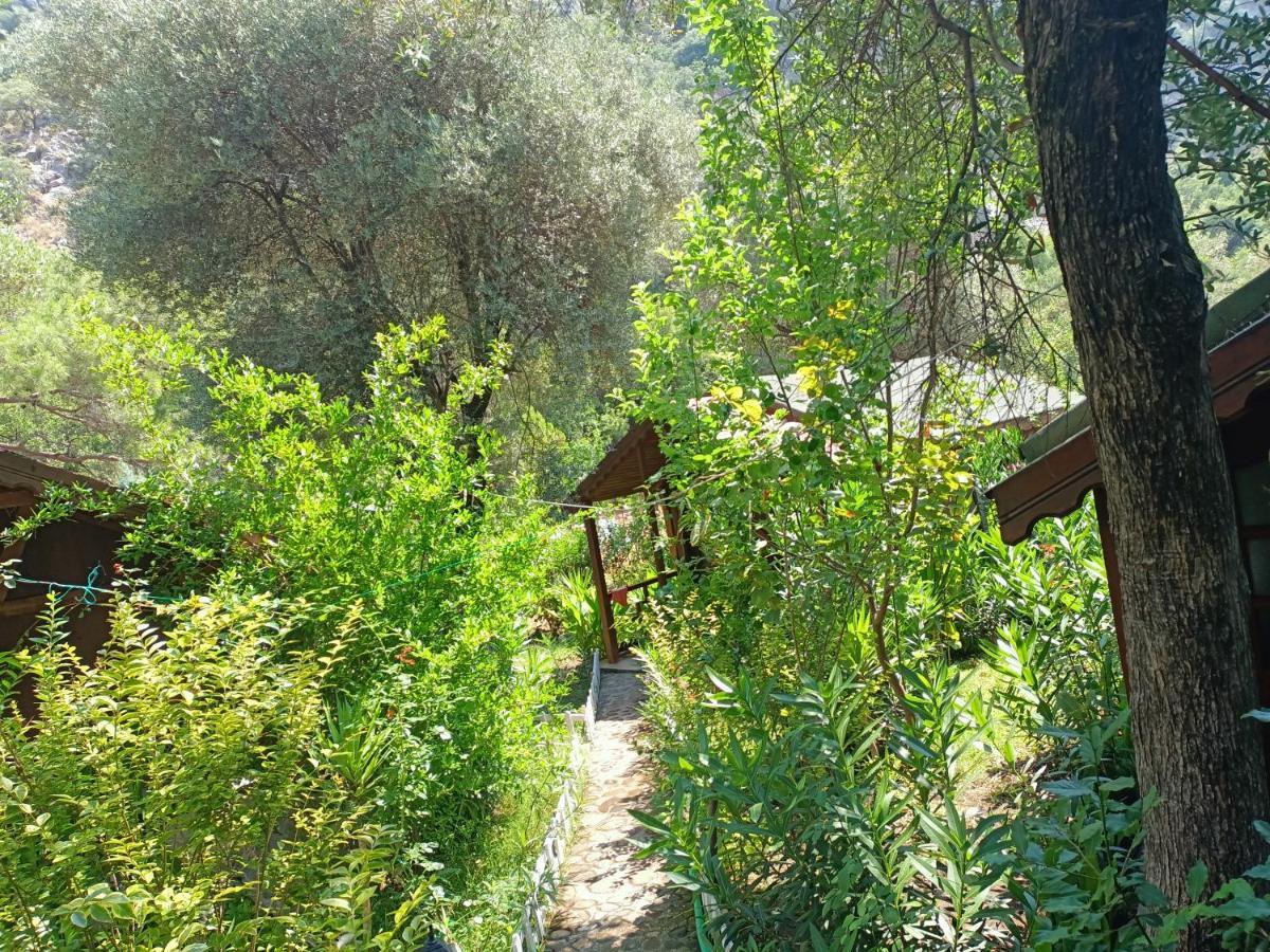 Canario Bungalows Cirali Bagian luar foto