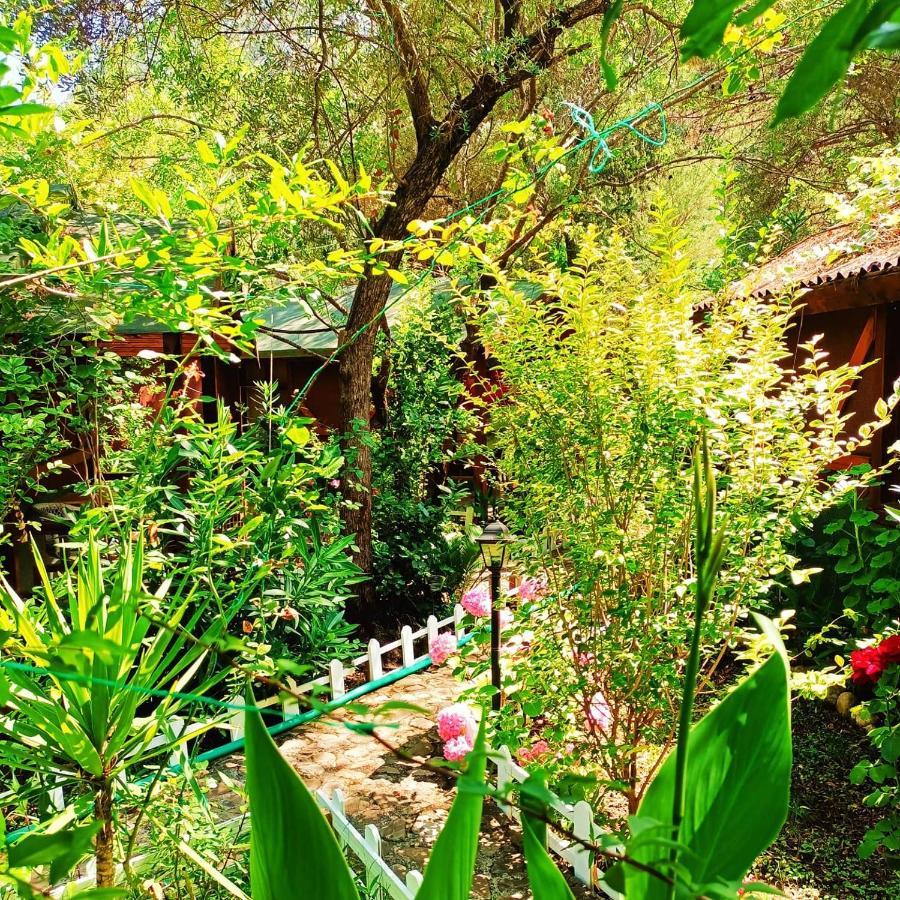 Canario Bungalows Cirali Bagian luar foto