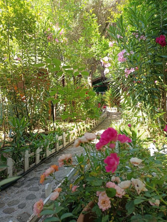 Canario Bungalows Cirali Bagian luar foto