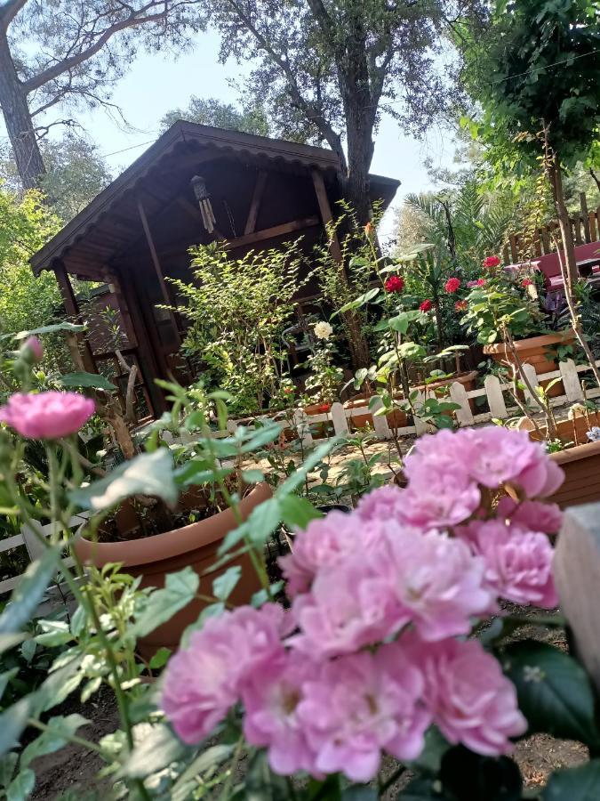 Canario Bungalows Cirali Bagian luar foto