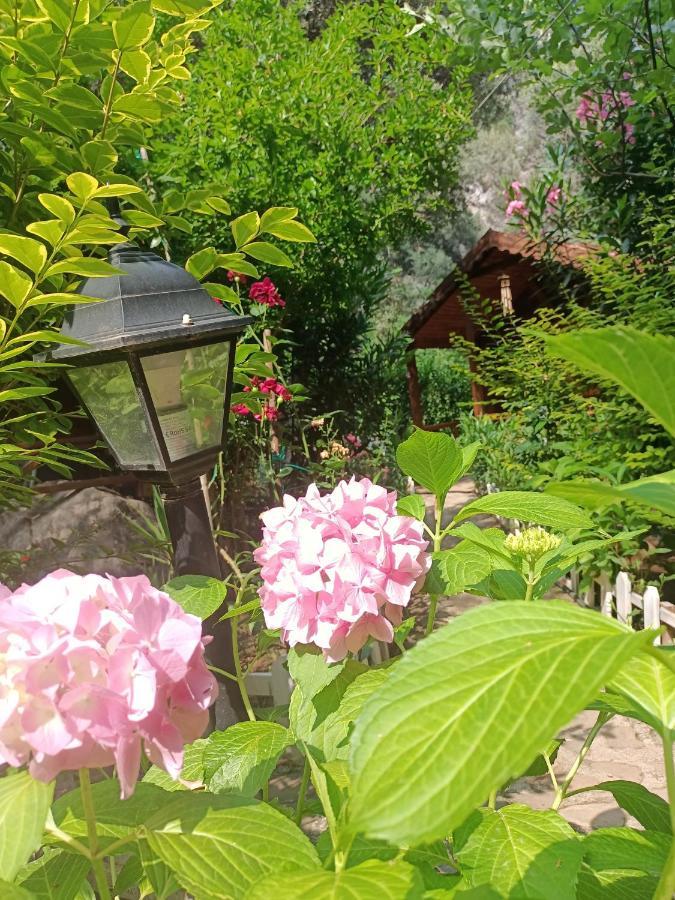 Canario Bungalows Cirali Bagian luar foto