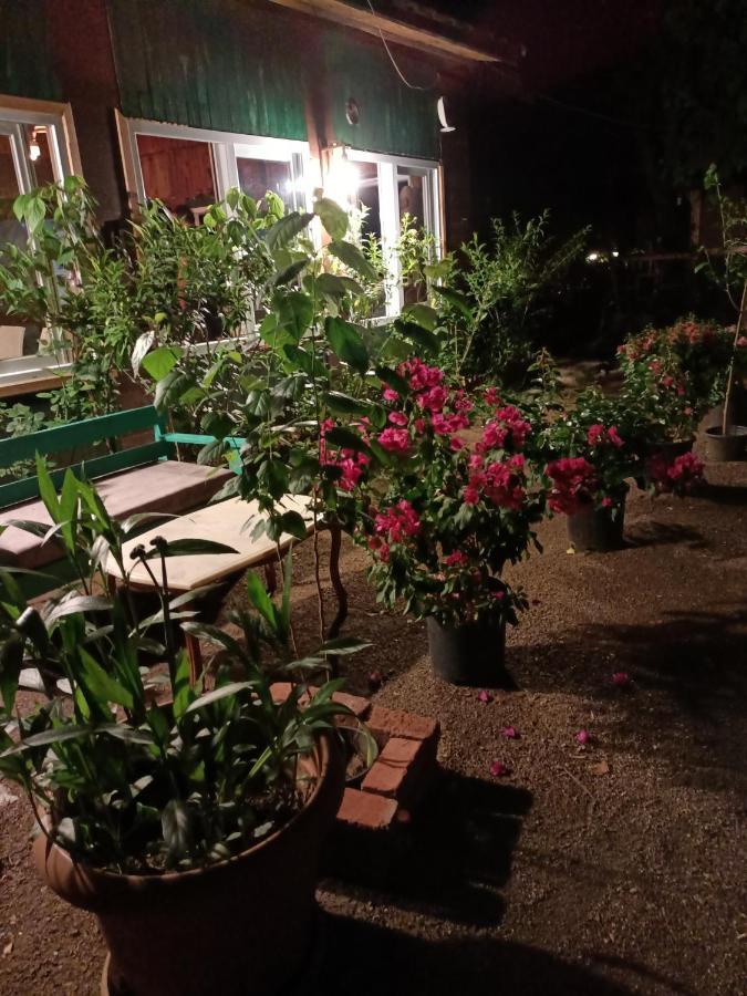 Canario Bungalows Cirali Bagian luar foto