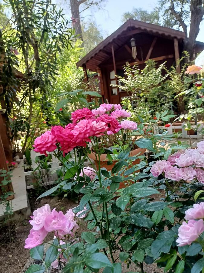 Canario Bungalows Cirali Bagian luar foto