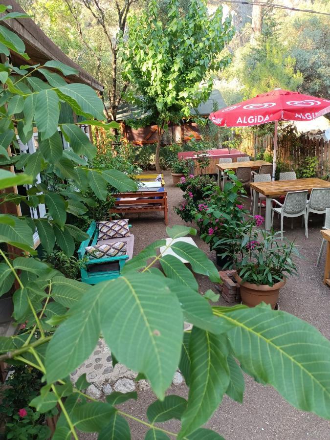 Canario Bungalows Cirali Bagian luar foto