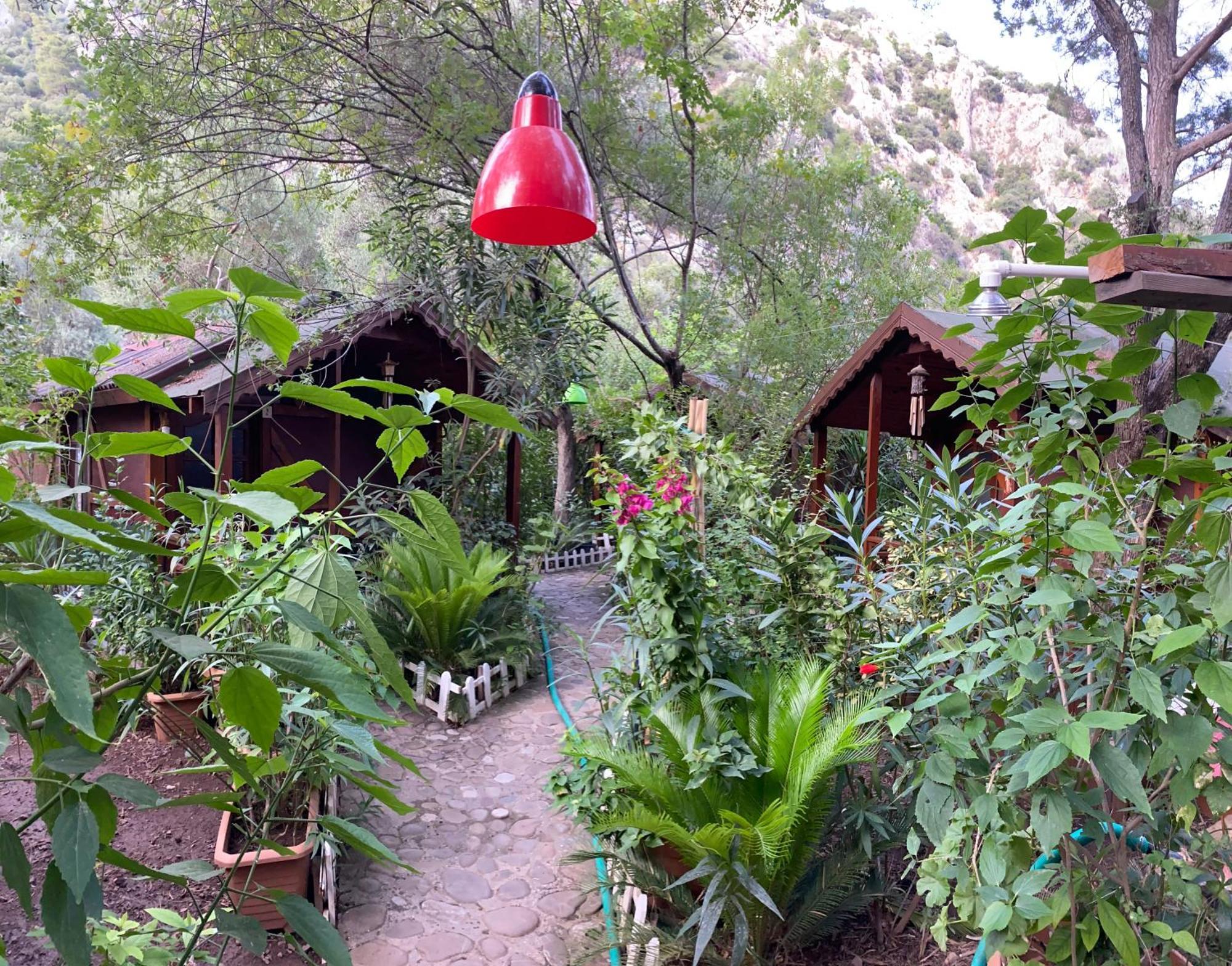 Canario Bungalows Cirali Bagian luar foto