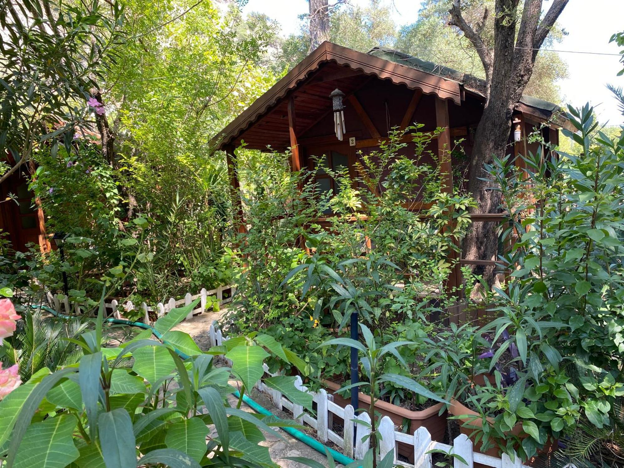 Canario Bungalows Cirali Bagian luar foto