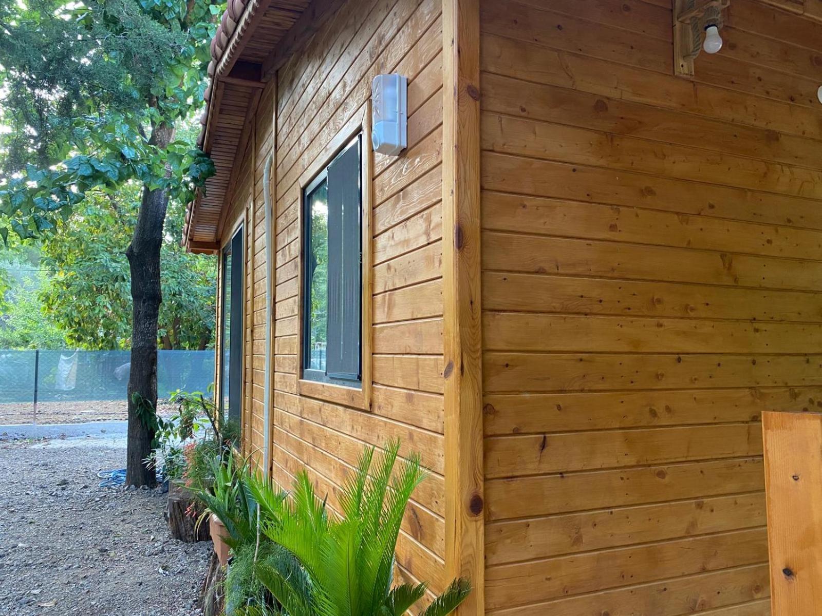 Canario Bungalows Cirali Bagian luar foto